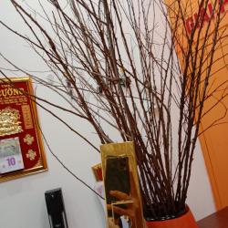BẢN LỀ SÀN AUSTEC